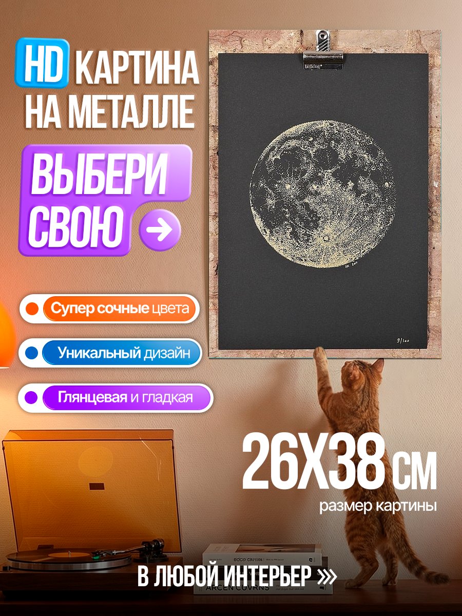 Картина на металле Луна на черном фоне