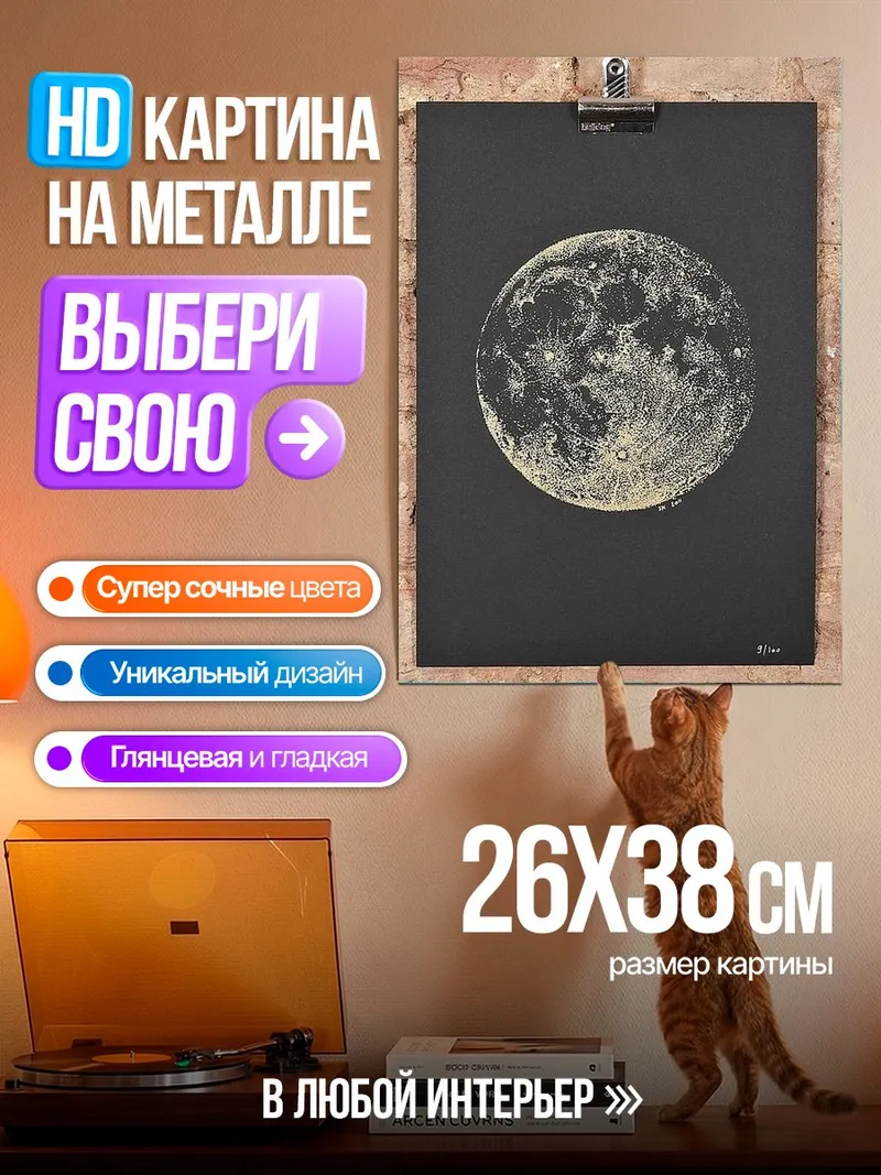 Картина на металле Луна на черном фоне