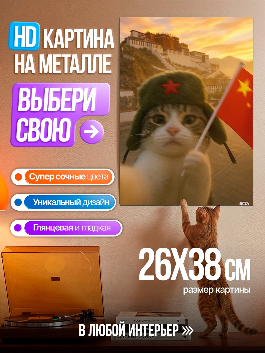 Картина на металле Кот с китайским флагом