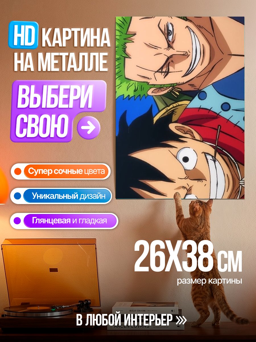 Картина на металле Зоро и Луффи
