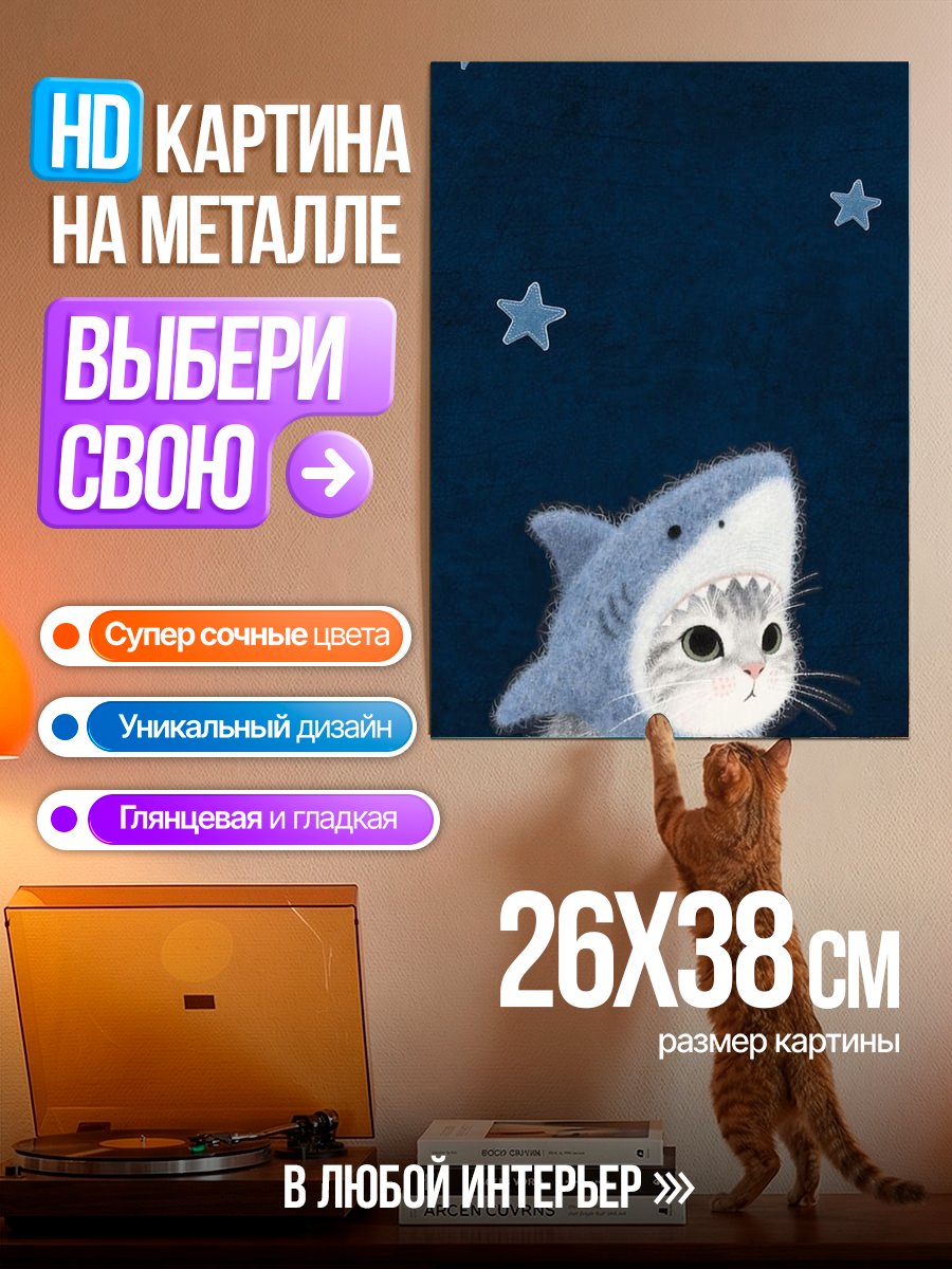 Картина на металле Кот в шапке акулы