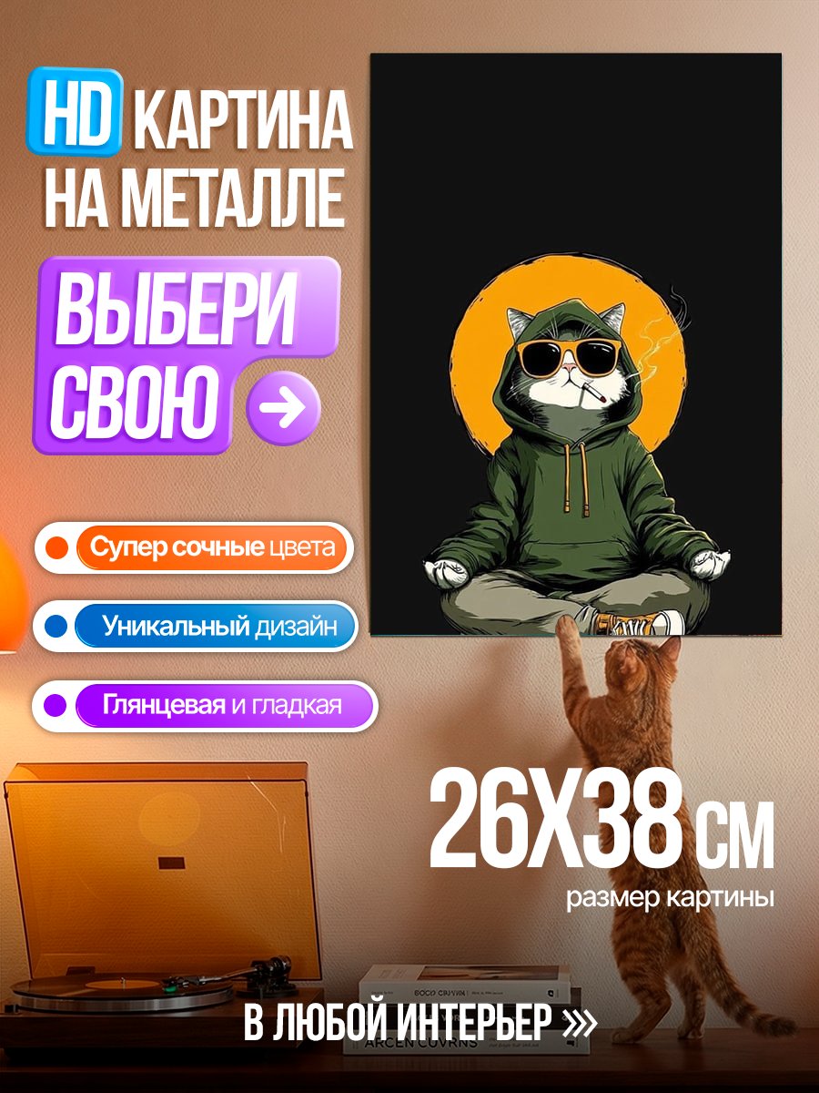 Картина на металле Медитирующий кот в капюшоне