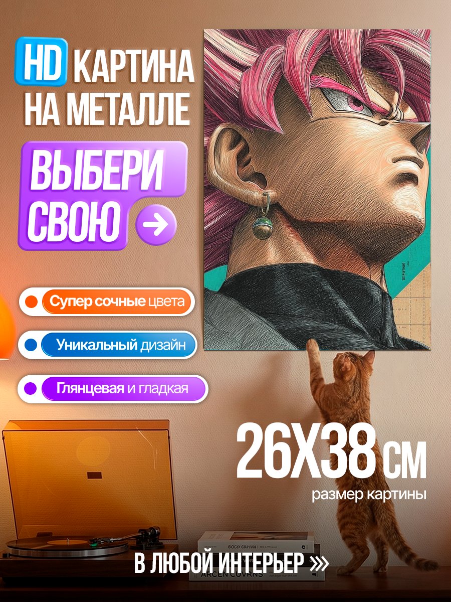 Картина на металле Гоку Черный Розе