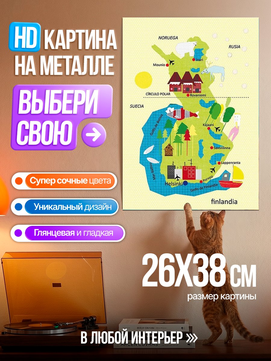 Картина на металле Карта Финляндии