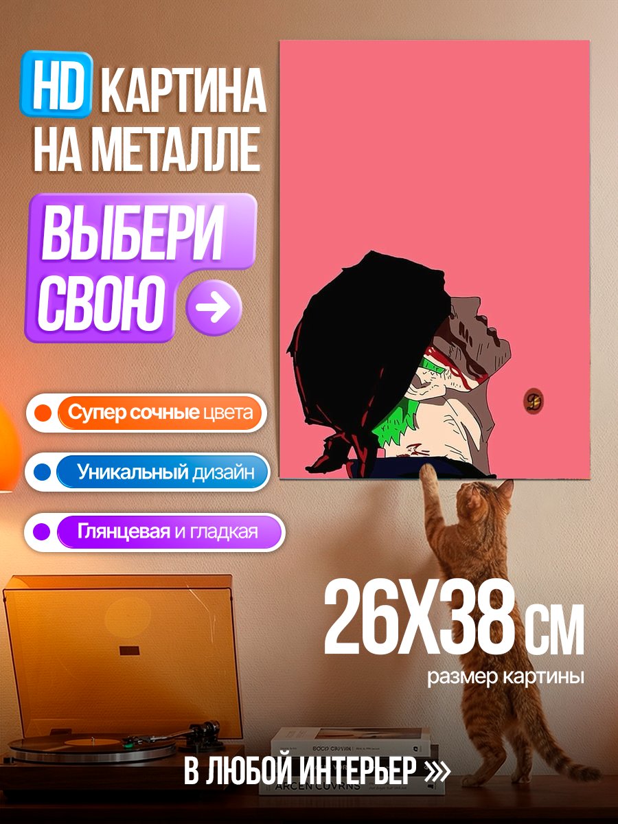 Картина на металле Зоро Один Кусок