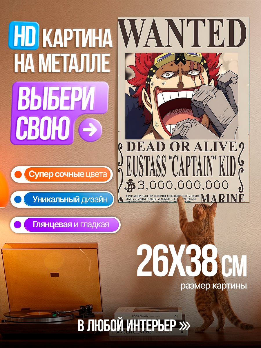 Картина на металле Разыскивается Юстасс Кид