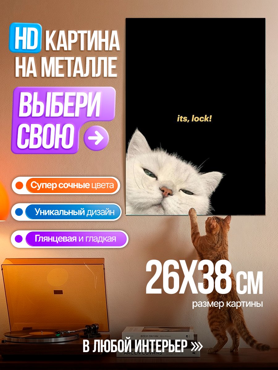 Картина на металле Белый кот с надписью