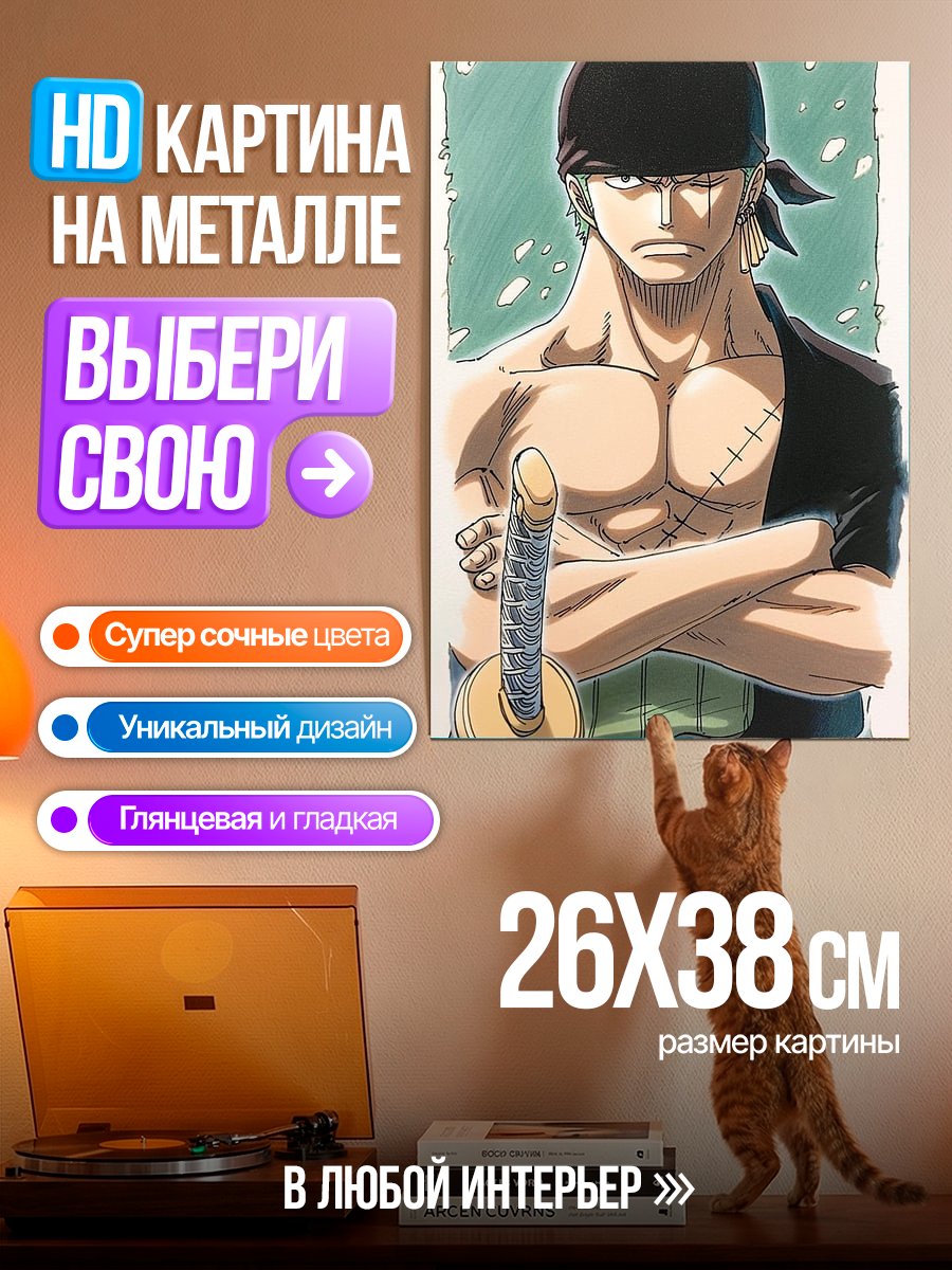 Картина на металле Зоро Один Кусок