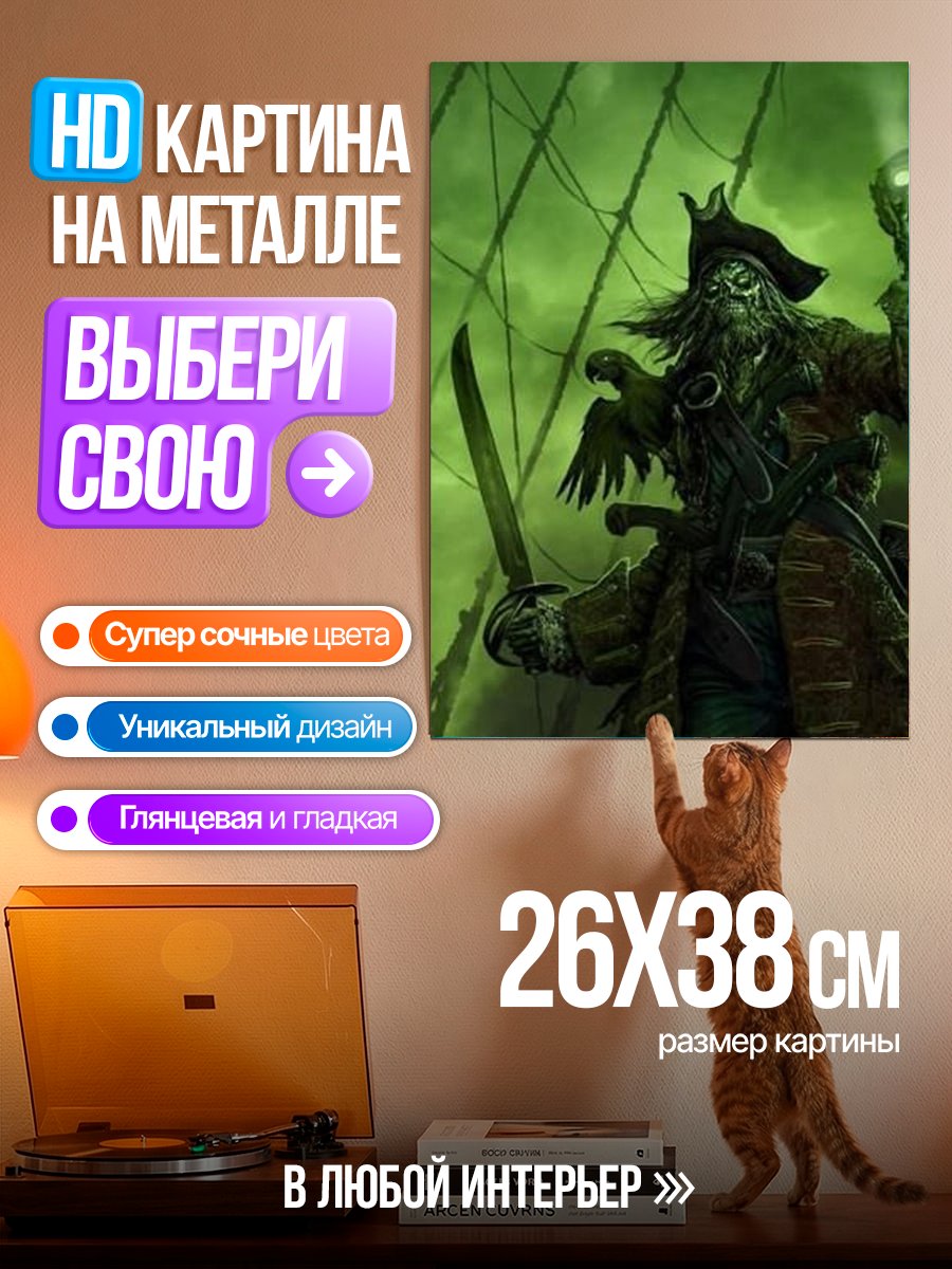 Картина на металле Капитан пиратов