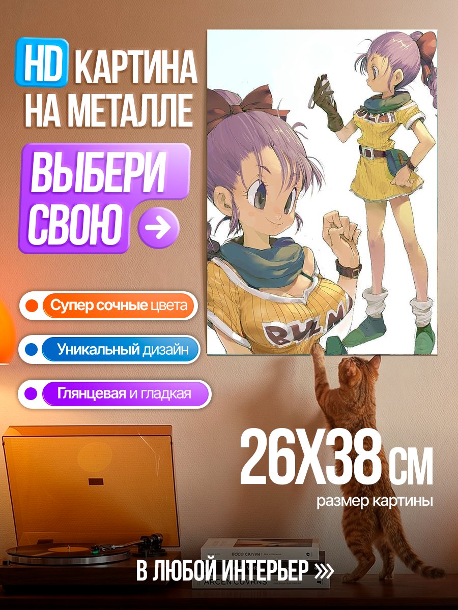 Картина на металле Булма из Dragon Ball
