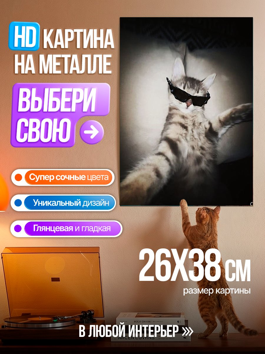 Картина на металле Кот в очках