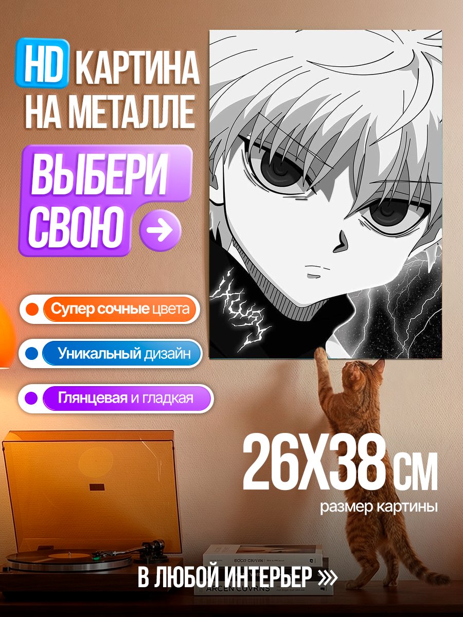 Картина на металле Киллуа Зольдик портрет