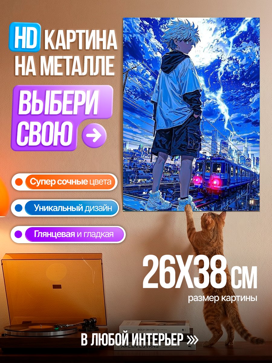 Картина на металле Киллуа Зольдик на крыше
