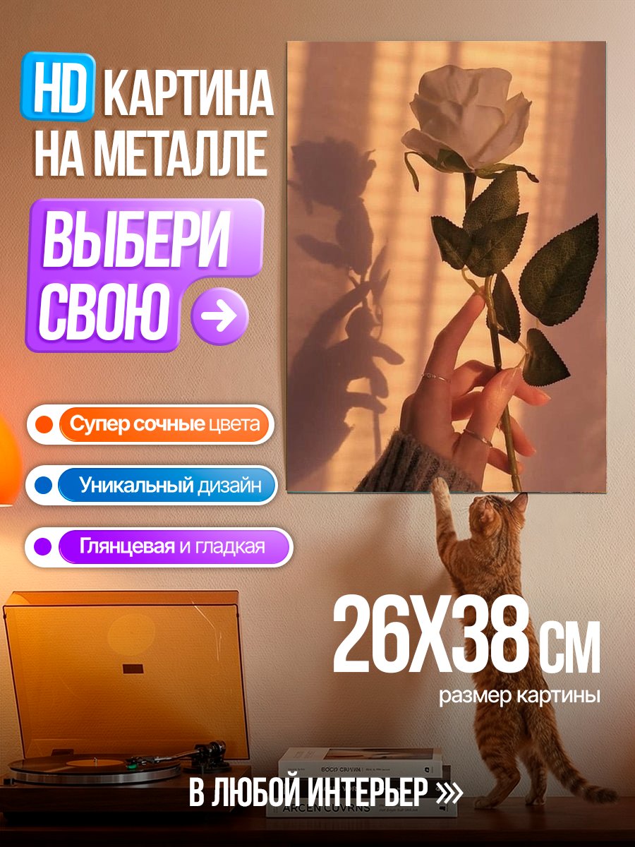 Картина на металле Белая роза