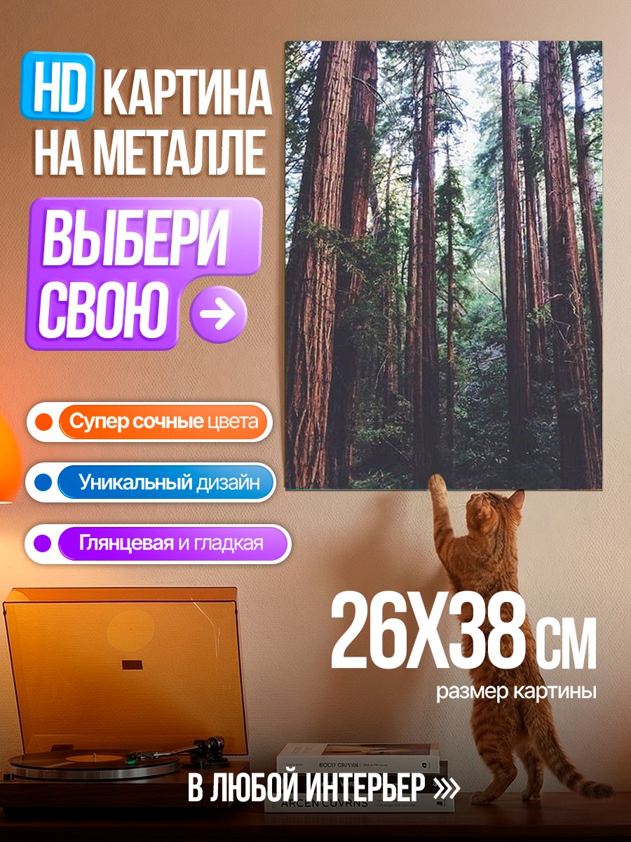 Картина на металле Тропа в лесу