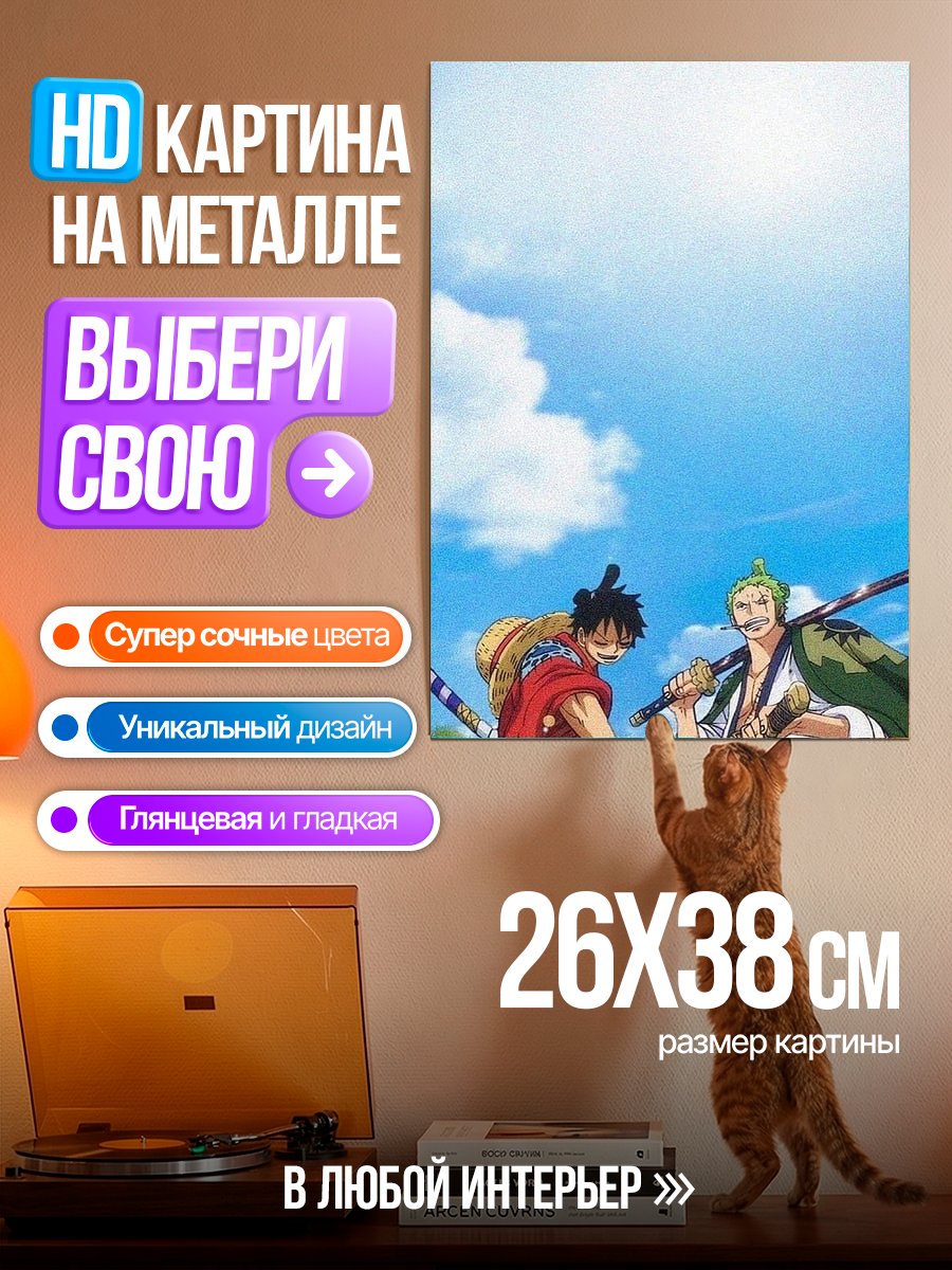 Картина на металле Манки Д. Луффи и Ророноа Зоро