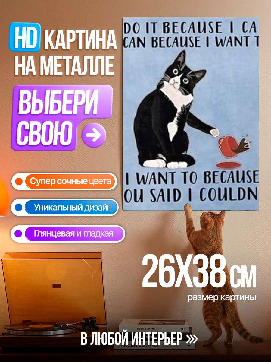 Картина на металле Кот против правил