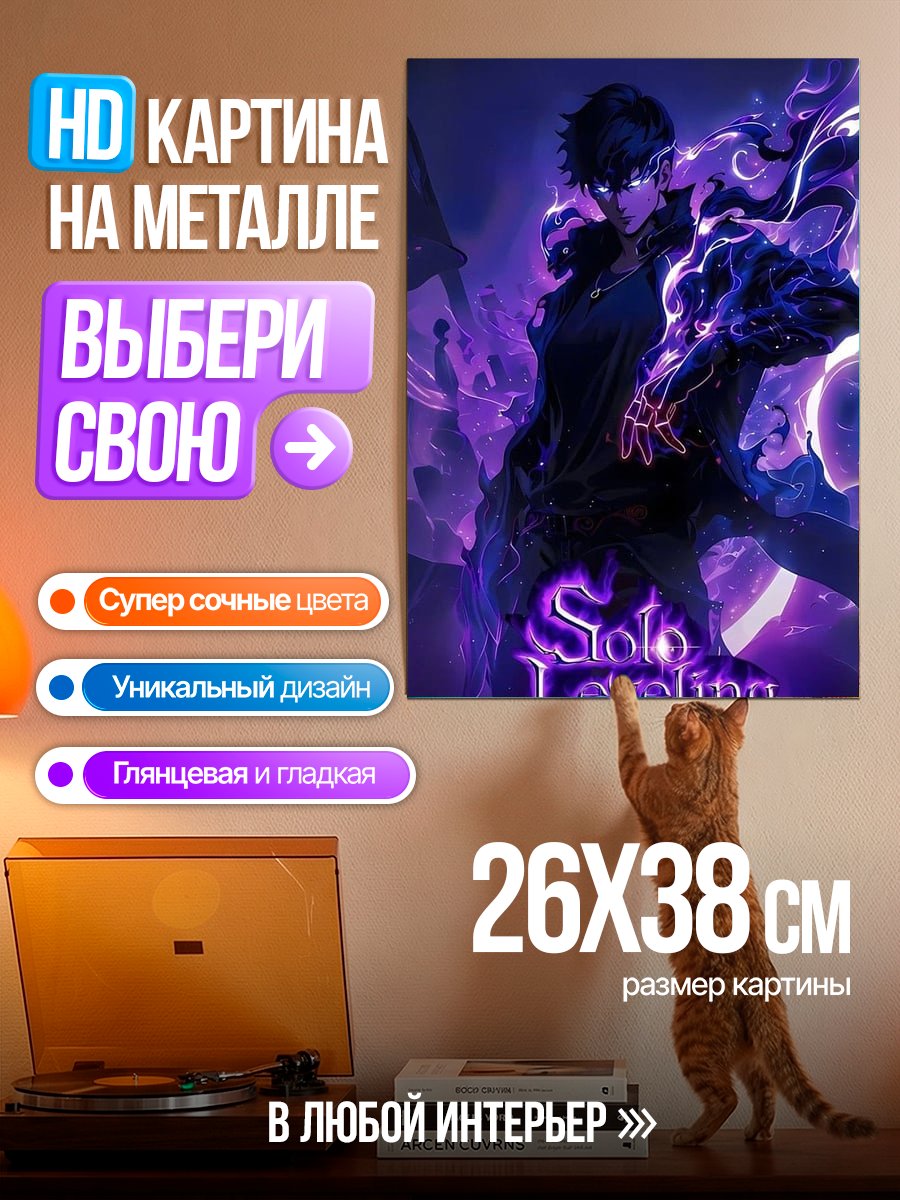 Картина на металле Персонаж Solo Leveling