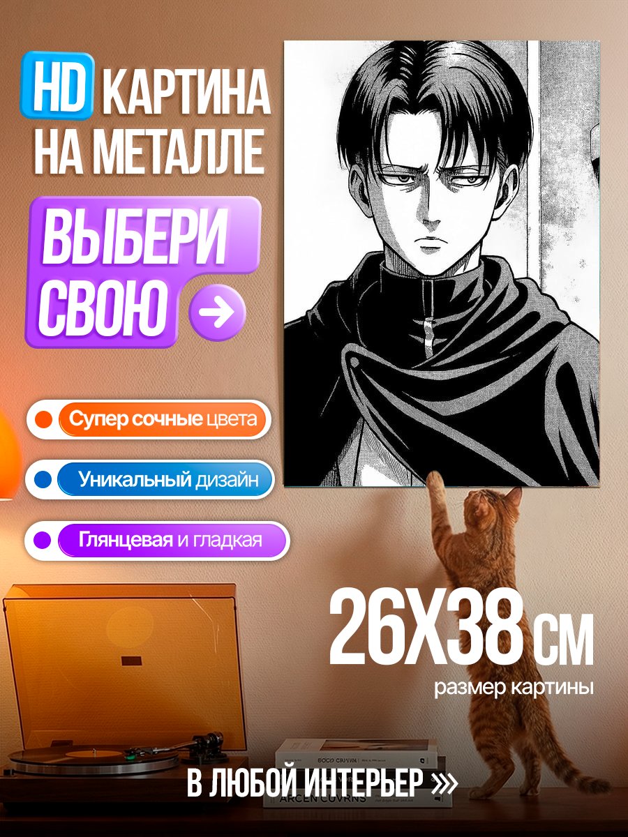 Картина на металле Капитан Леви Атака Титанов