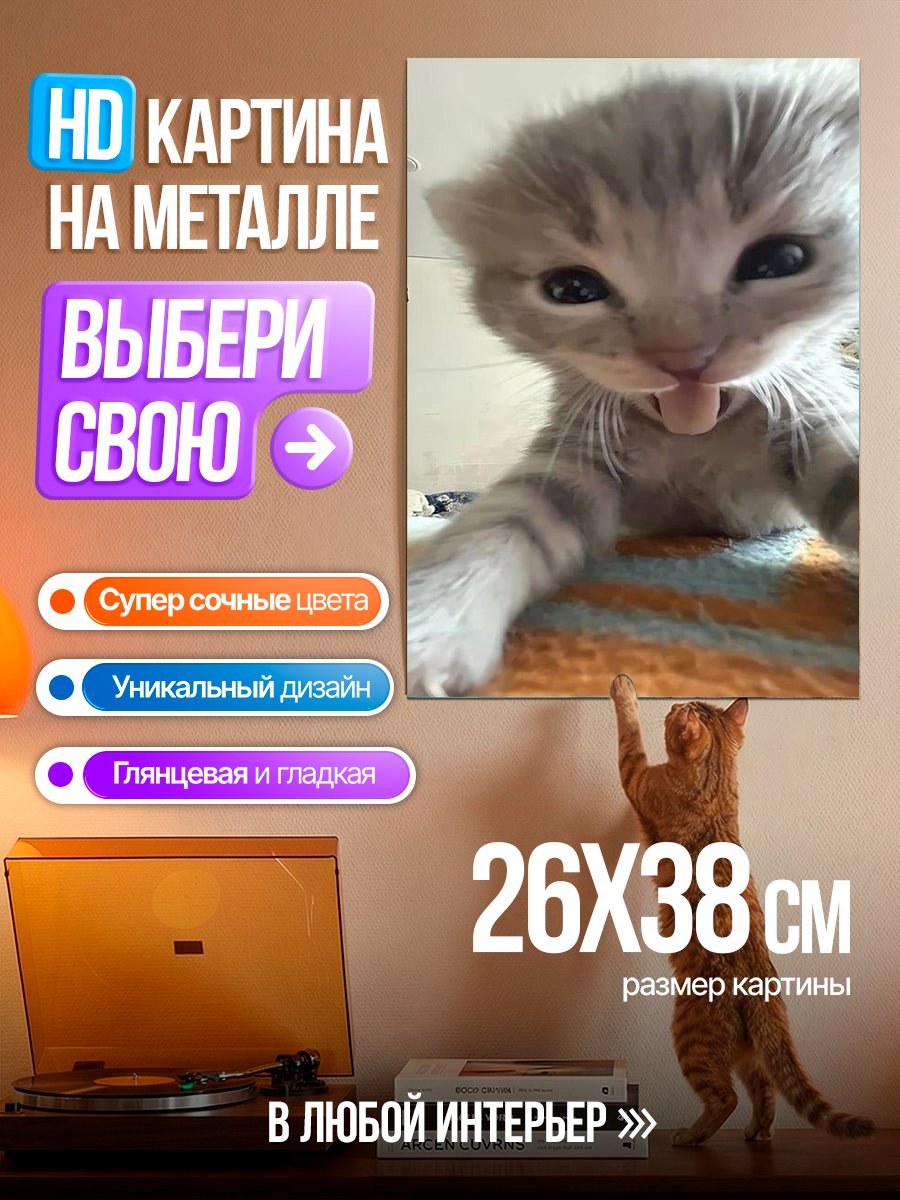 Картина на металле Милый котенок