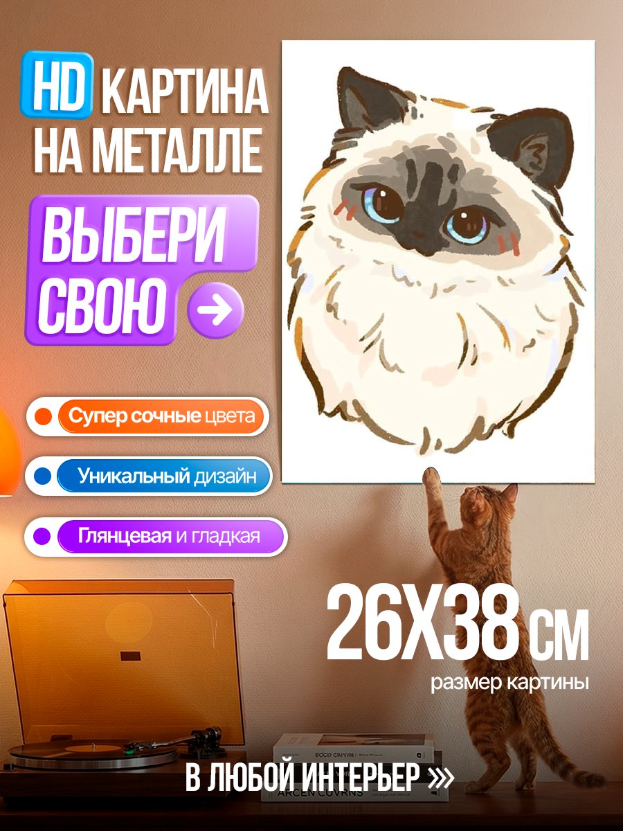 Картина на металле Пушистый кот с голубыми глазами