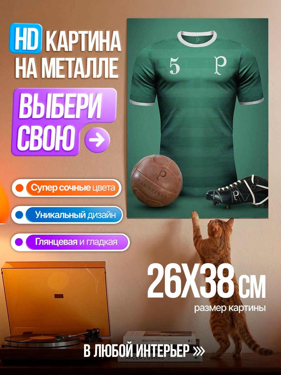 Картина на металле Футбольная форма и мяч