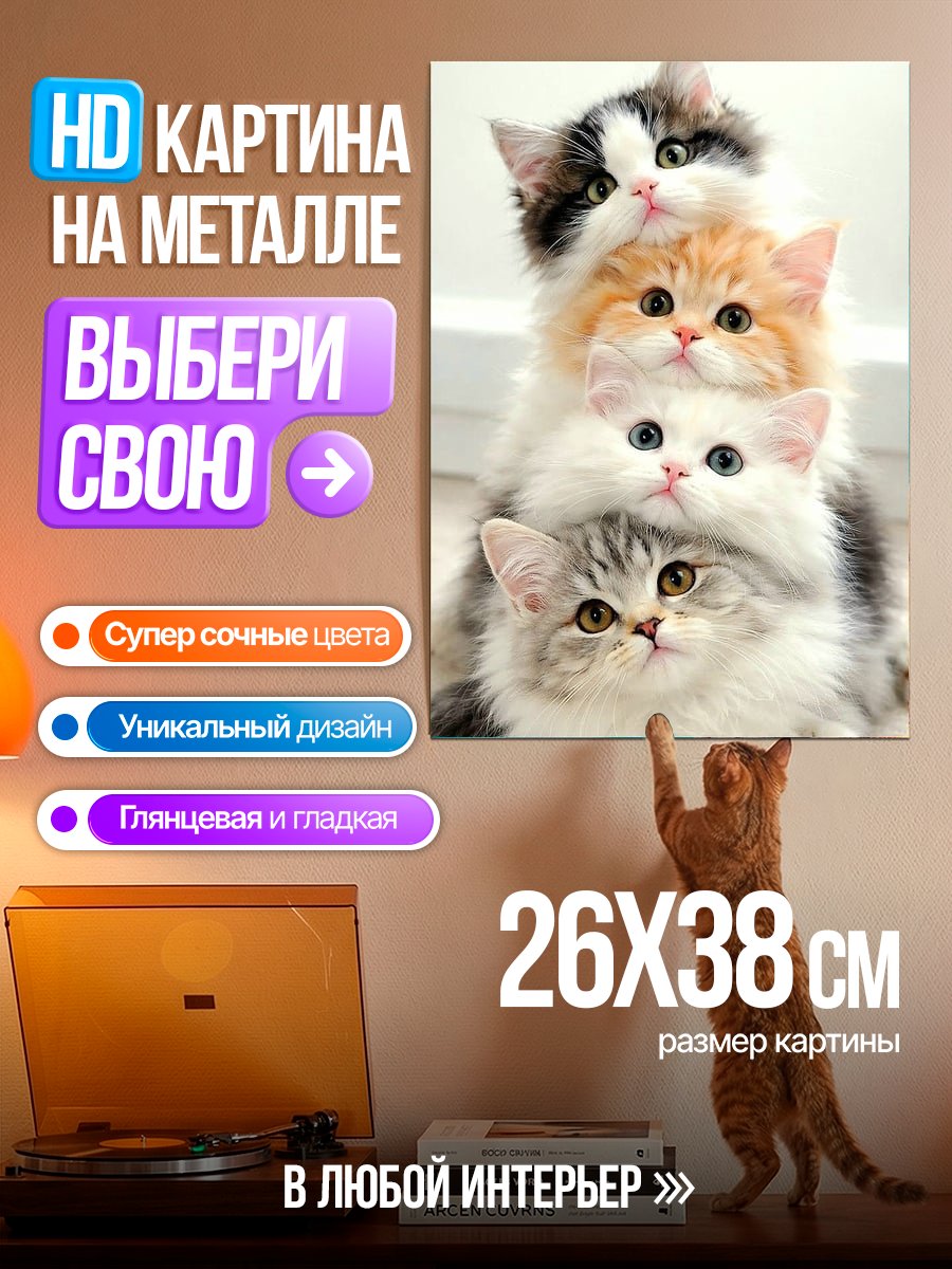 Картина на металле Пирамида из котят