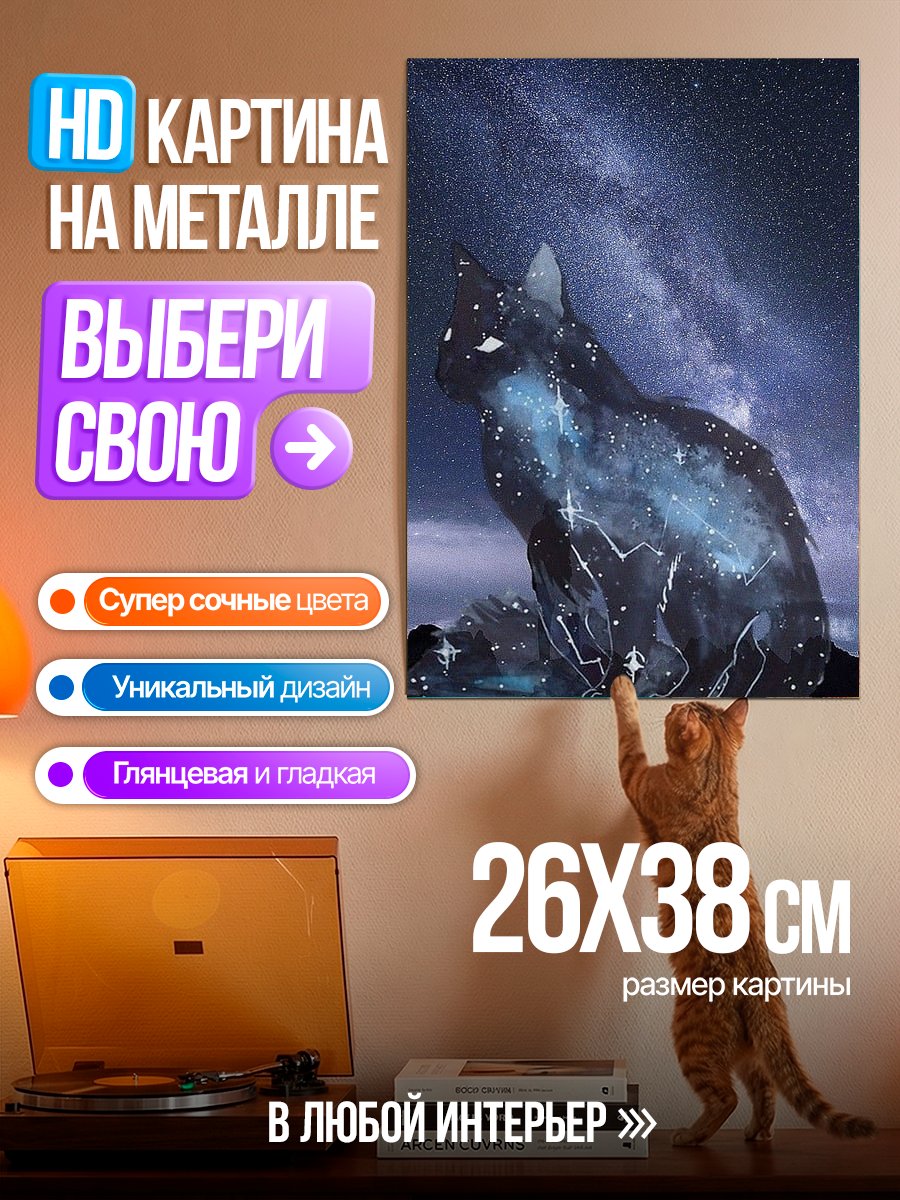 Картина на металле Кот в космосе