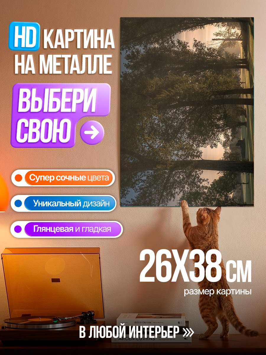 Картина на металле Закат в парке