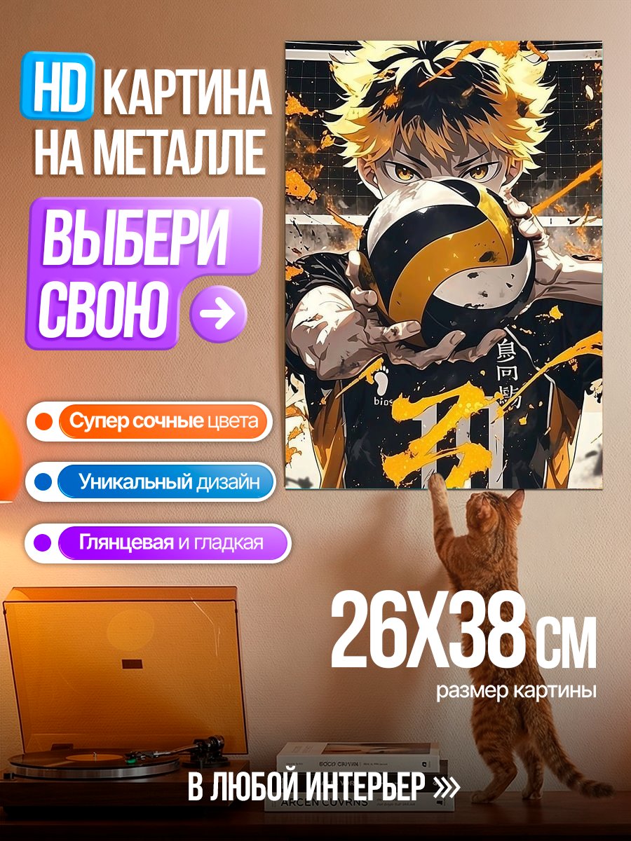 Картина на металле Хината Шоё Волейболист