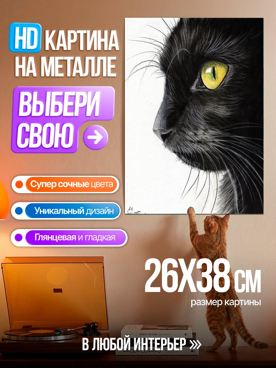 Картина на металле Черный кот взгляд