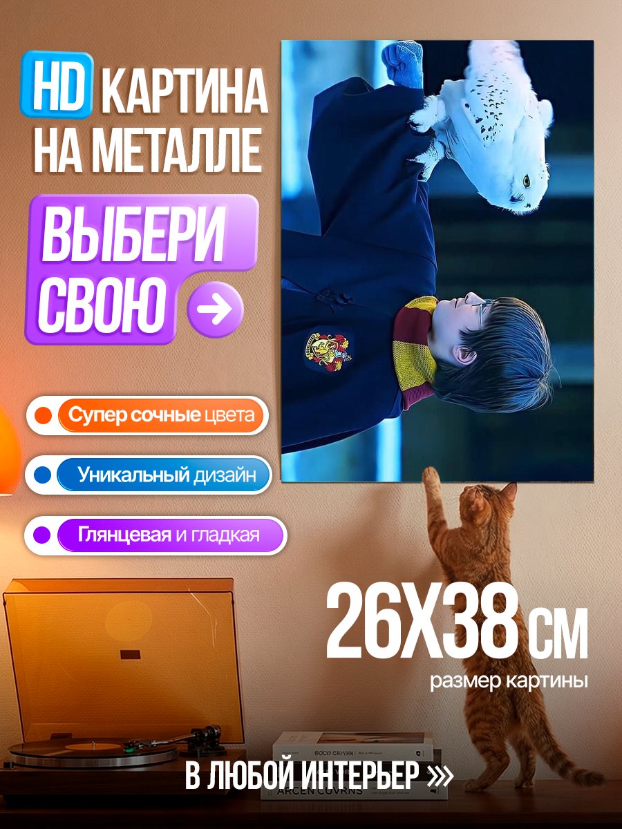 Картина на металле Гарри Поттер и сова