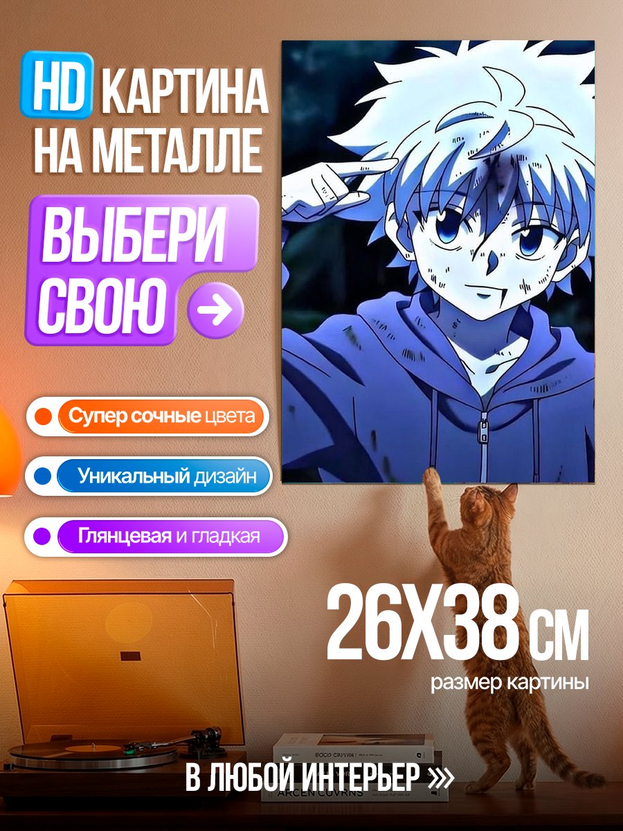 Картина на металле Киллуа Золдик Охотник