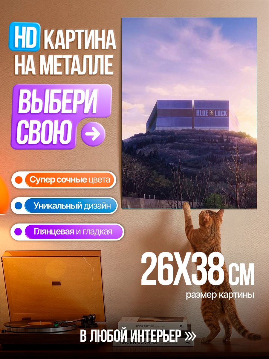 Картина на металле Здание Blue Lock