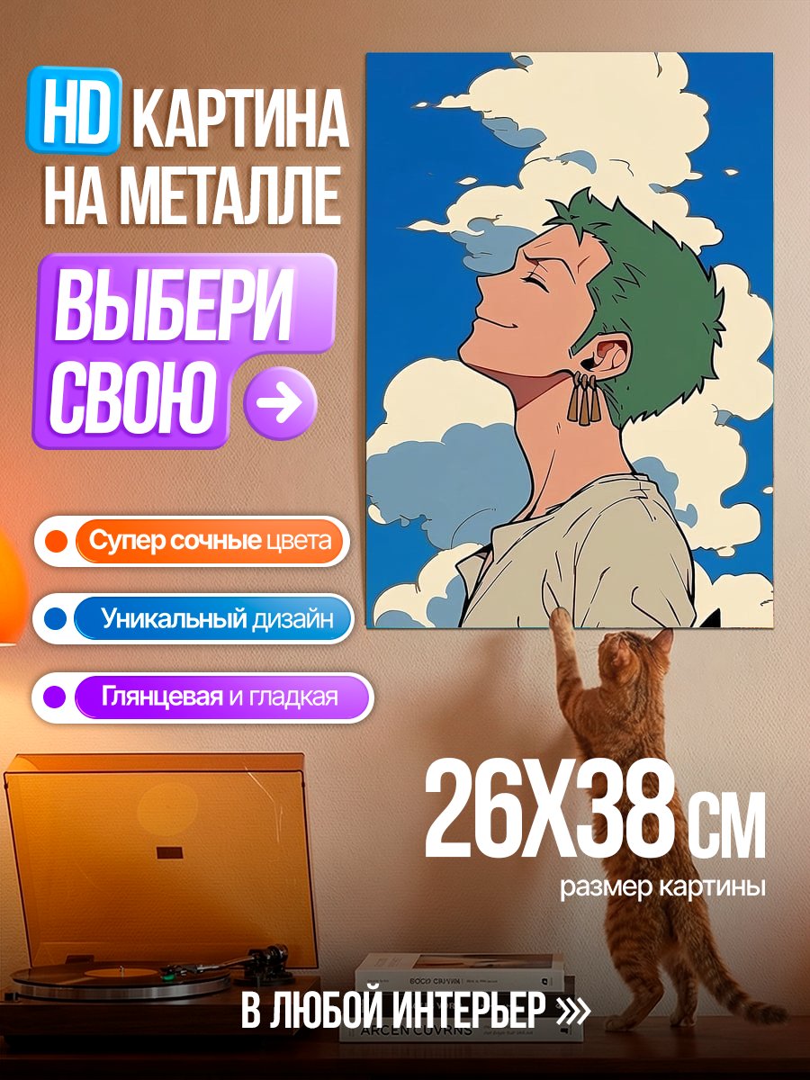 Картина на металле Зоро под небом