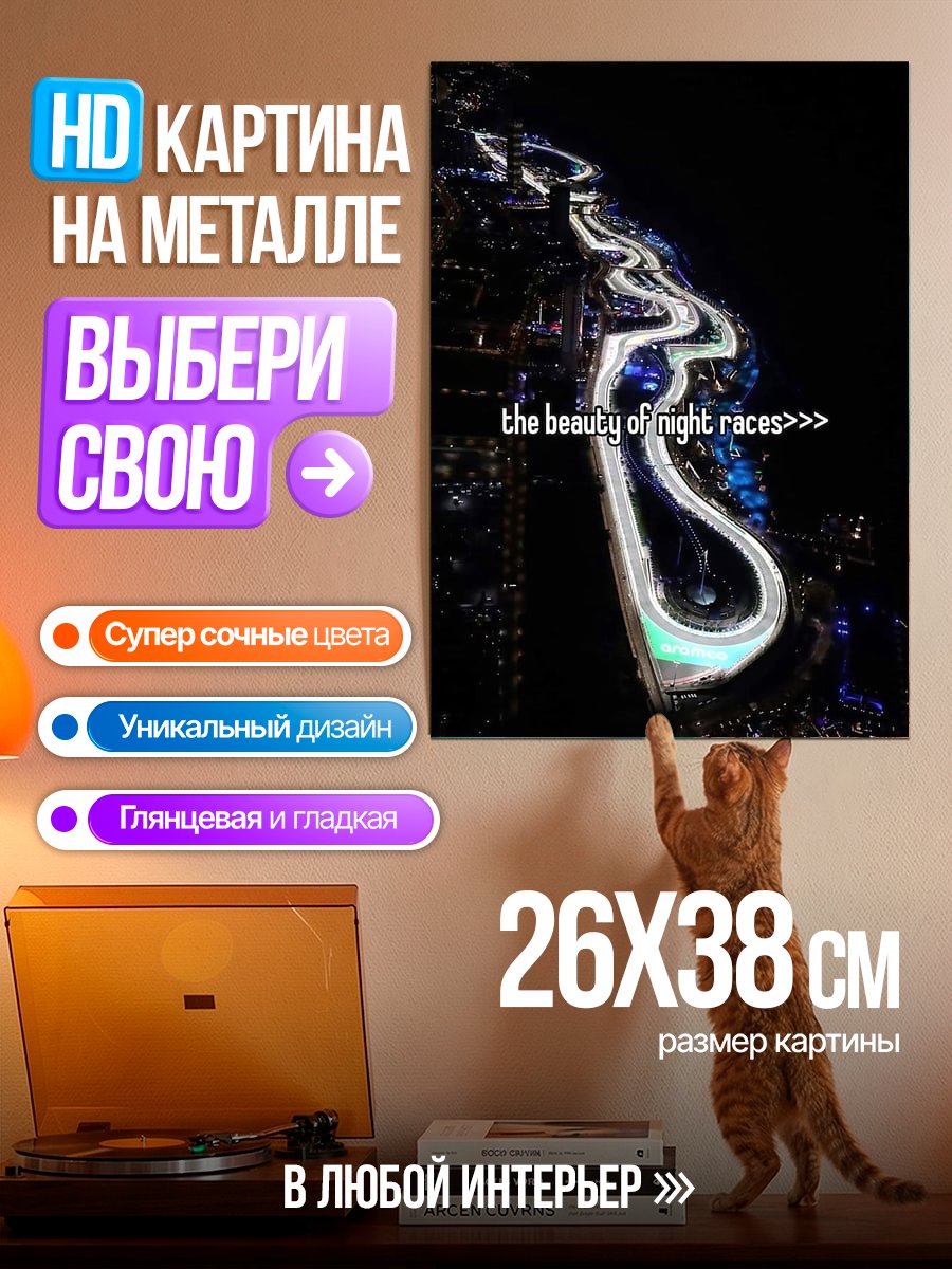 Картина на металле Красота ночных гонок