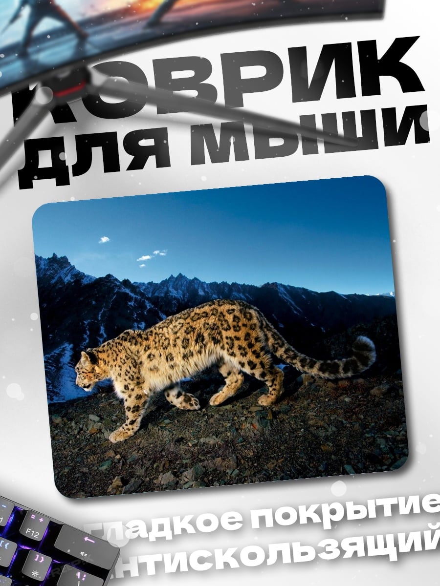 Коврик Снежный барс