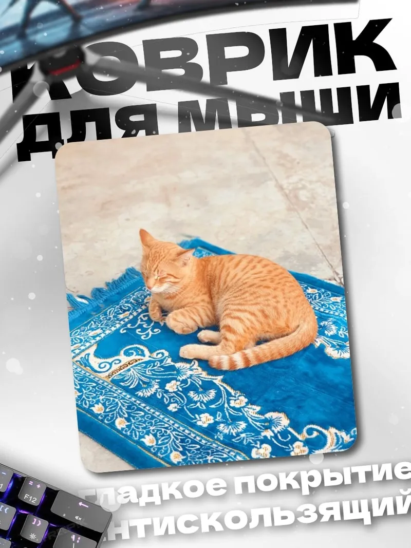 Коврик Рыжий кот на ковре