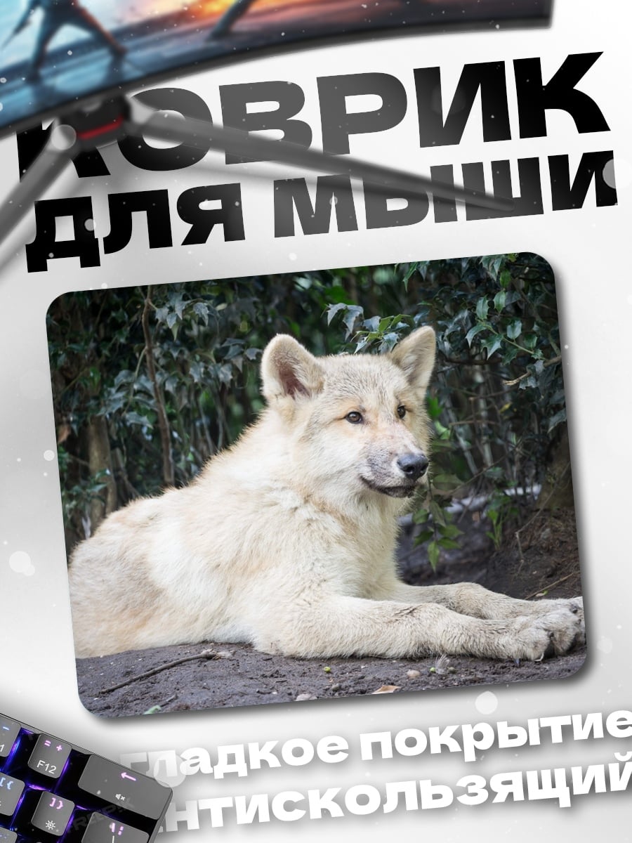 Коврик Белый волк