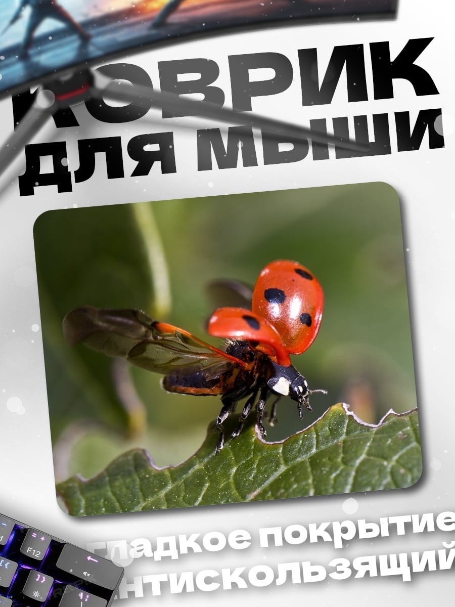 Коврик божья коровка летит