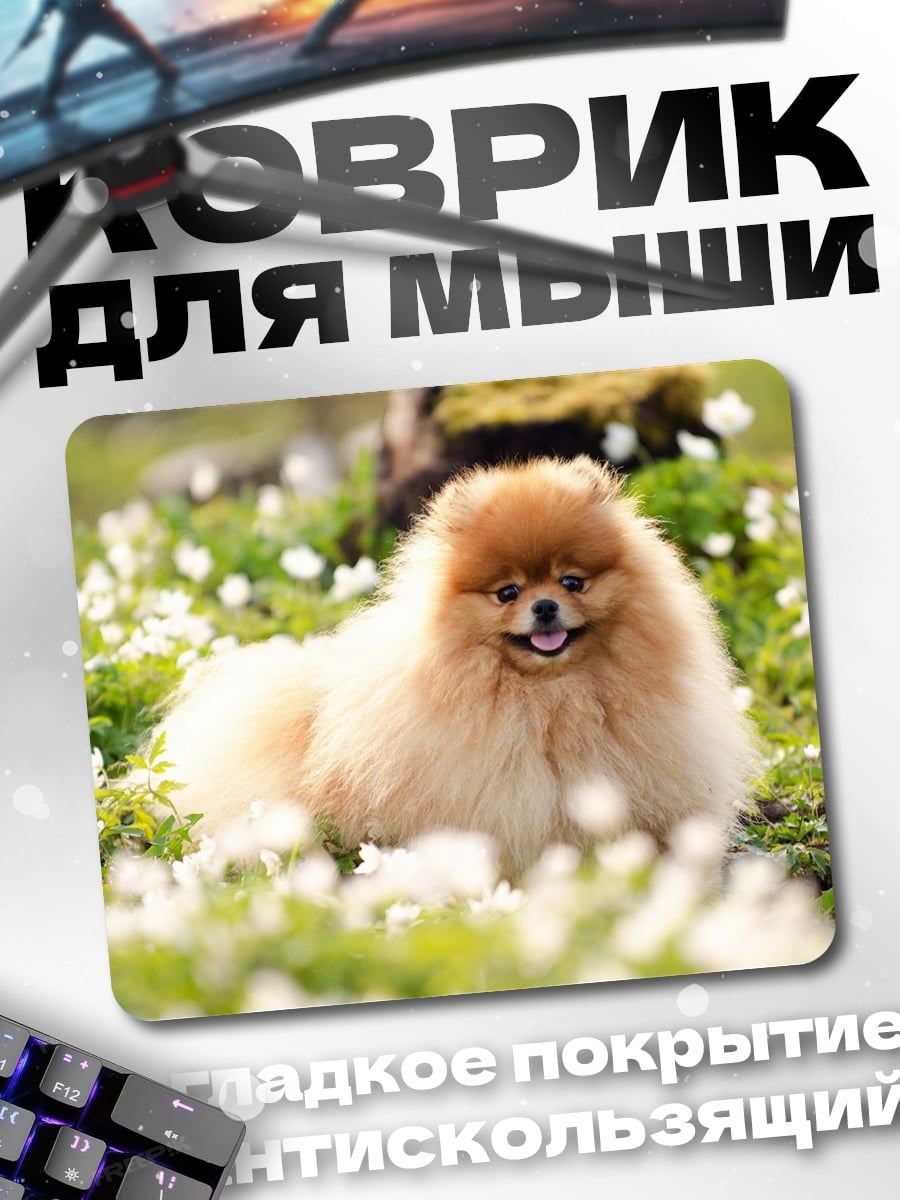 Коврик Шпиц в цветах