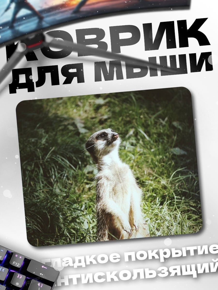 Коврик сурикат на траве