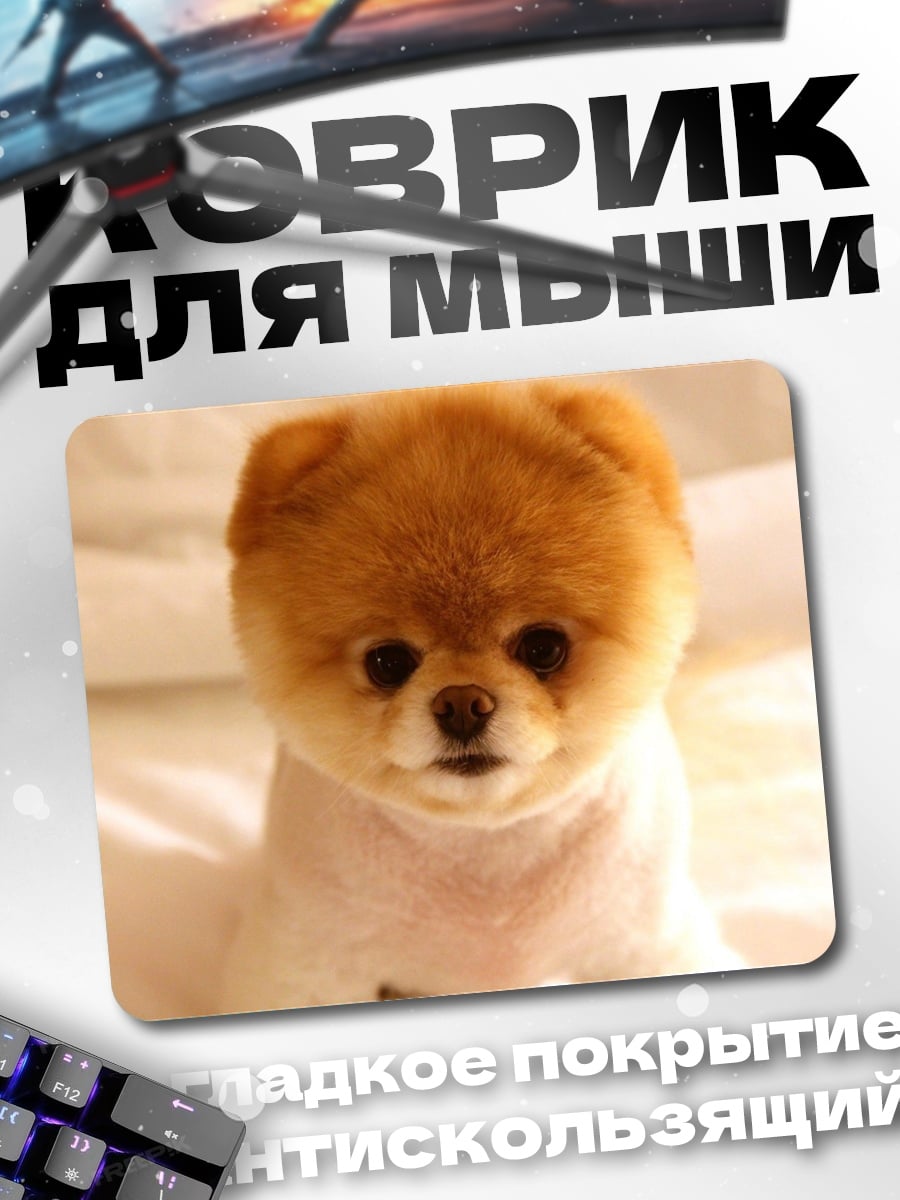 Коврик Милый шпиц
