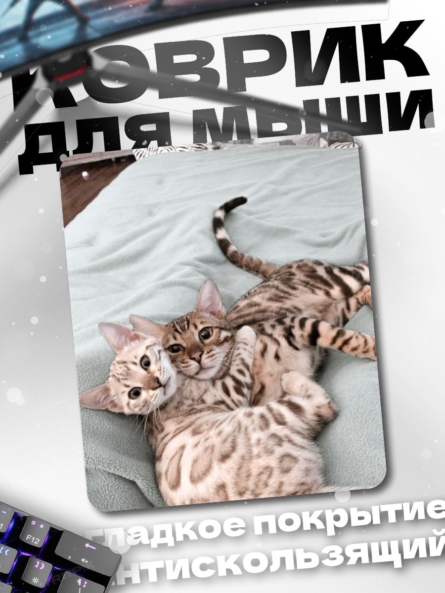 Коврик Два бенгальских котенка