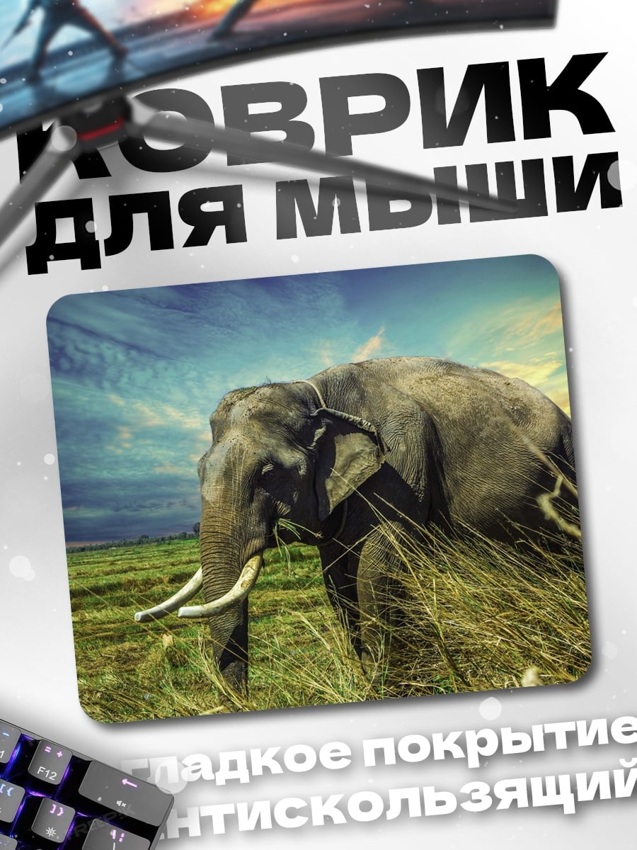 Коврик Слон на закате