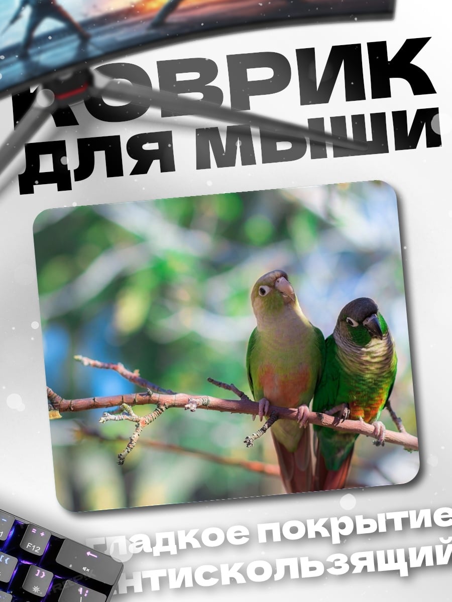 Коврик Две птицы на ветке