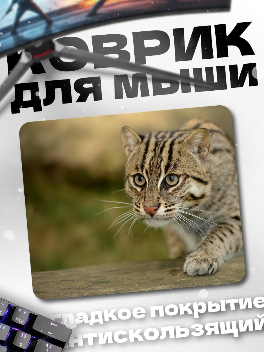 Коврик Дикая кошка в траве
