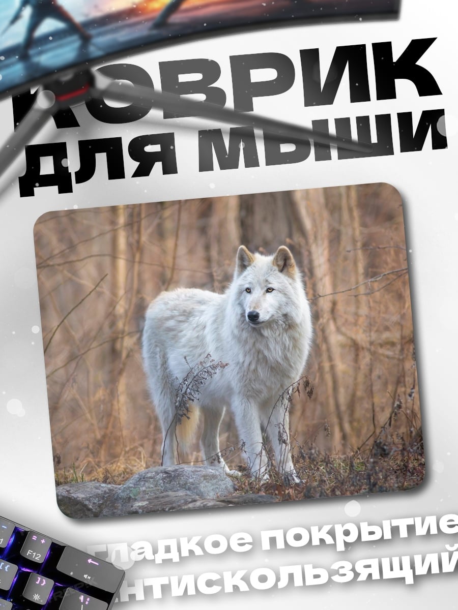 Коврик Белый волк в лесу
