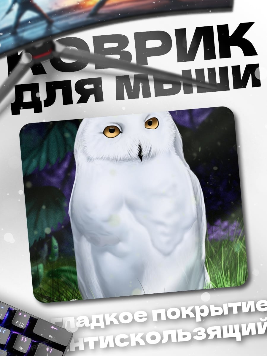 Коврик Белая сова