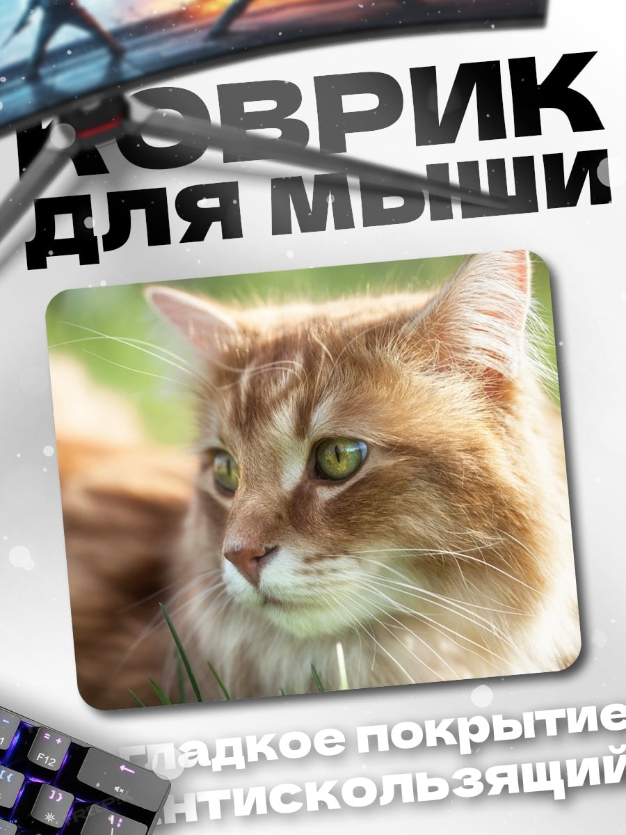 Коврик рыжий кот